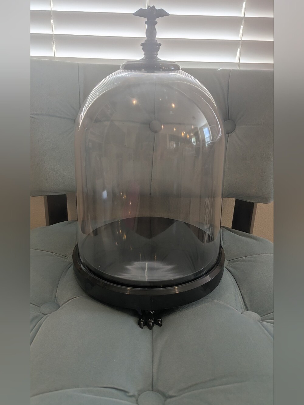Halloween Bat Display Domes/Cloches Set Of 2